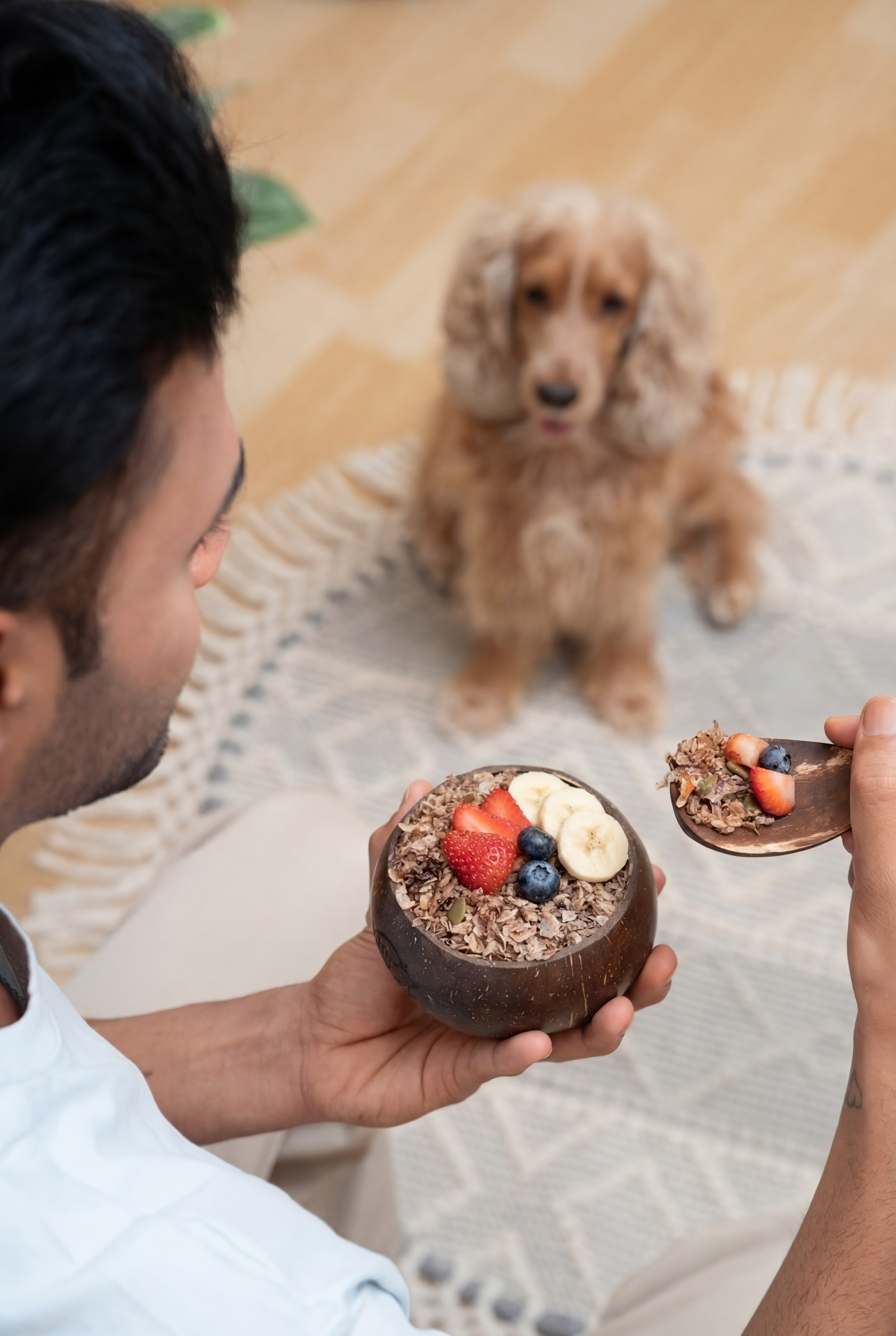 Coconut Shell Bowl&Scoop( No Muesli - Only Bowl & Scoop )