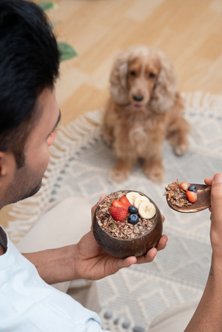 Coconut Shell Bowl&Scoop( No Muesli - Only Bowl & Scoop )